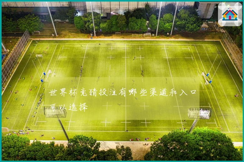 世界杯竞猜投注有哪些渠道和入口可以选择