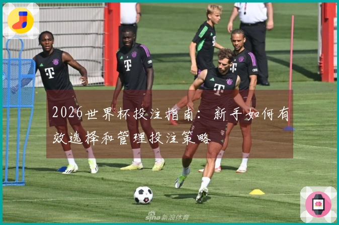 2026世界杯投注指南：新手如何有效选择和管理投注策略