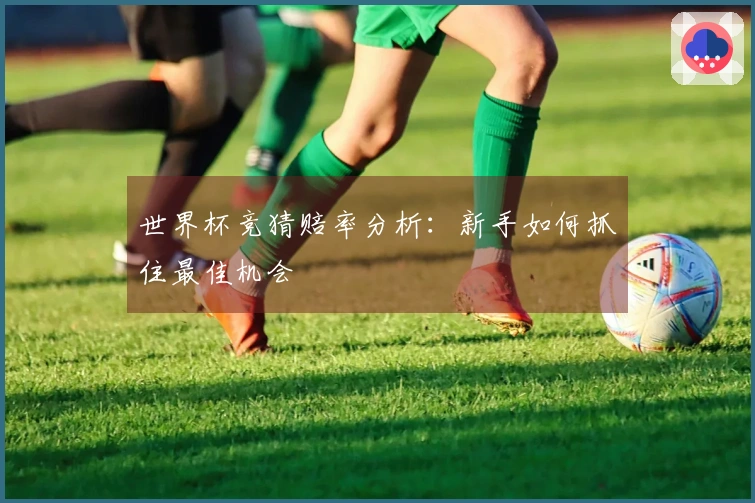 世界杯竞猜赔率分析：新手如何抓住最佳机会