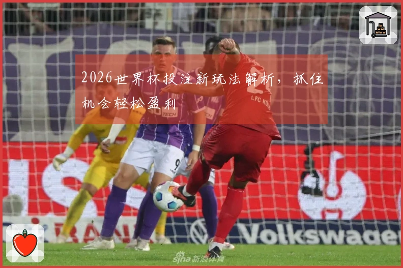 2026世界杯投注新玩法解析，抓住机会轻松盈利