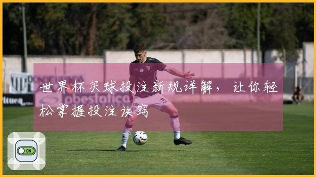 世界杯买球投注新规详解，让你轻松掌握投注诀窍