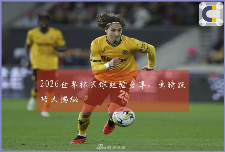 2026世界杯买球经验分享，竞猜技巧大揭秘
